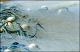 Filmstrip Thumbnail