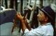 Filmstrip Thumbnail