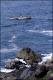 Filmstrip Thumbnail