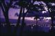 Filmstrip Thumbnail