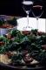 Filmstrip Thumbnail