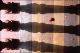 Filmstrip Thumbnail