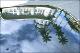 Filmstrip Thumbnail