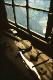 Filmstrip Thumbnail