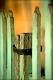 Filmstrip Thumbnail