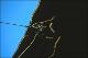 Filmstrip Thumbnail