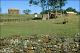 Filmstrip Thumbnail