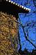 Filmstrip Thumbnail
