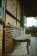 Filmstrip Thumbnail