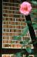 Filmstrip Thumbnail