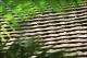 Filmstrip Thumbnail