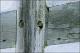 Filmstrip Thumbnail