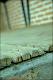 Filmstrip Thumbnail