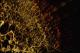 Filmstrip Thumbnail