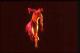 Filmstrip Thumbnail
