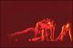 Filmstrip Thumbnail
