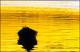 Filmstrip Thumbnail