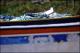 Filmstrip Thumbnail