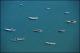 Filmstrip Thumbnail