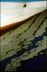 Filmstrip Thumbnail