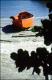 Filmstrip Thumbnail