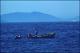 Filmstrip Thumbnail