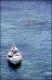Filmstrip Thumbnail