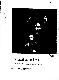 Filmstrip Thumbnail