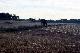 Filmstrip Thumbnail